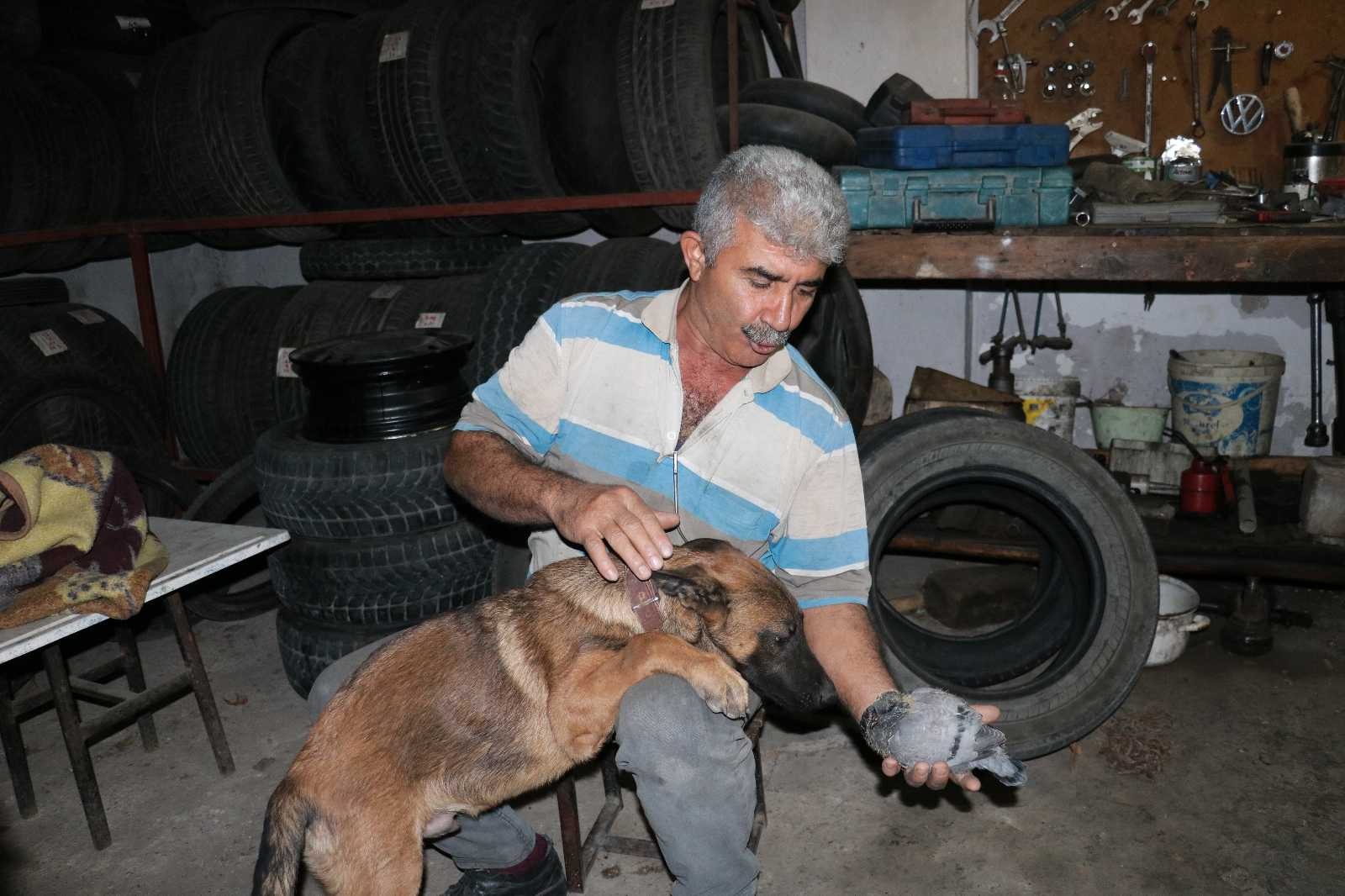 Yavru güvercin ile köpeğin dostluğu yürekleri ısıttı #kahramanmaras