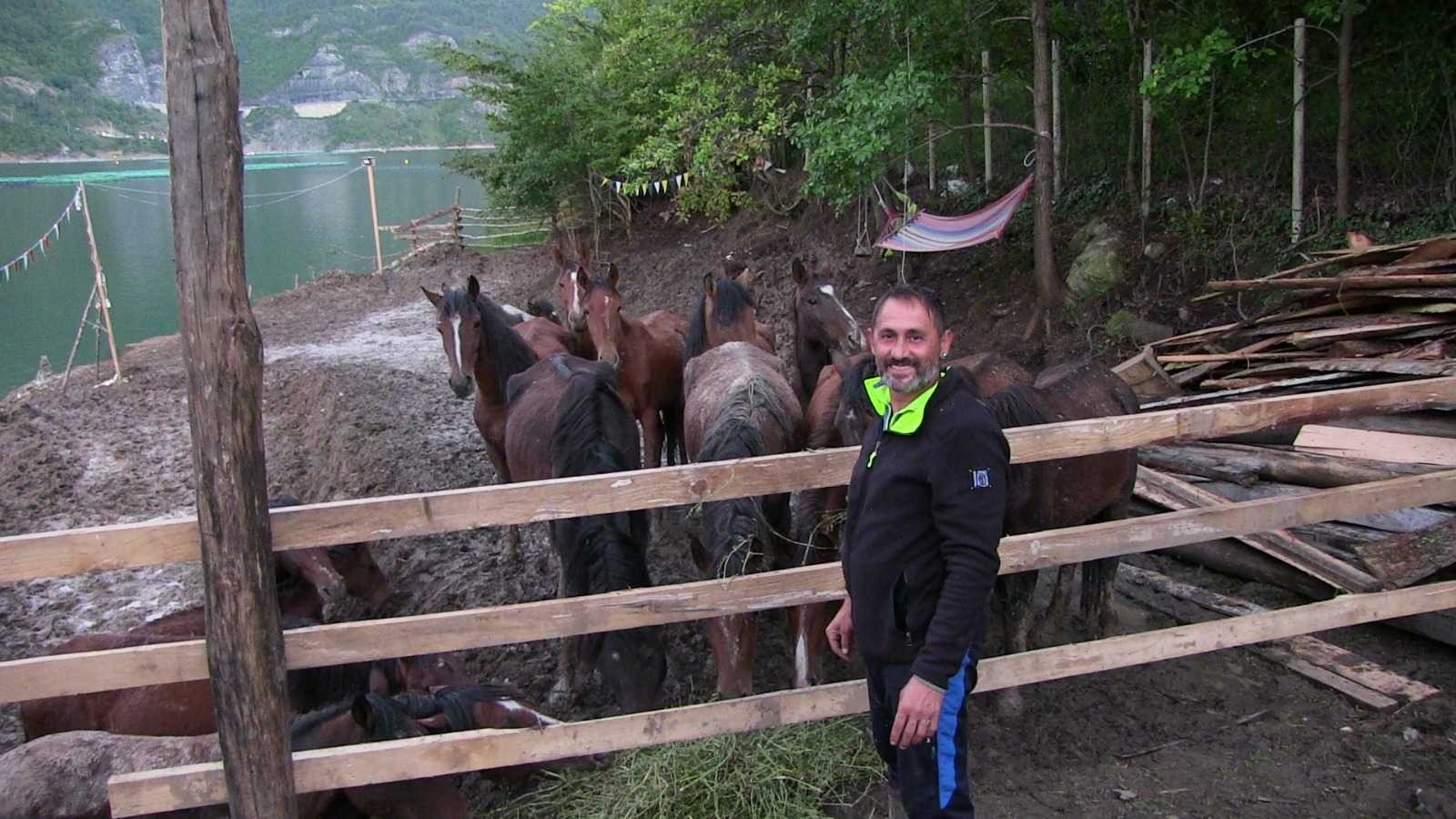 Artvin’de ölüme terk edilen atlara barınak bulunamayınca genç turizmci tesisini açtı #artvin