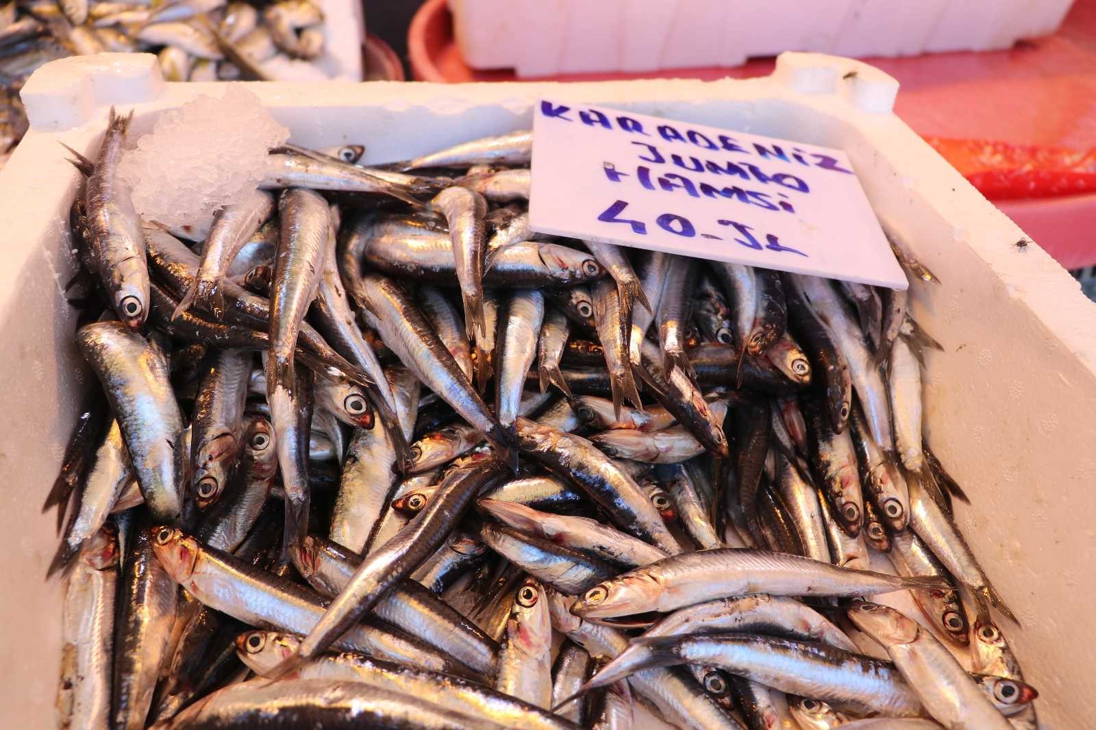 Gaziantepli balıkçılar kebap kültüründen şikayetçi #gaziantep