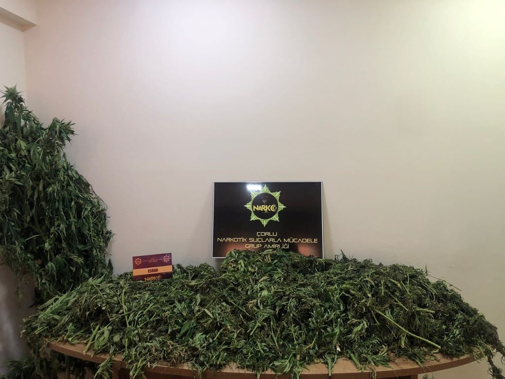 Tekirdağ’da 19 kilo esrar ve kenevir bitkisi ele geçirildi: 2 gözaltı