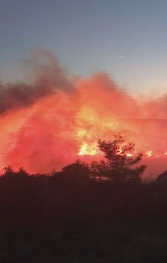İzmir’de orman yangını: çok sayıda ekip müdahale ediyor