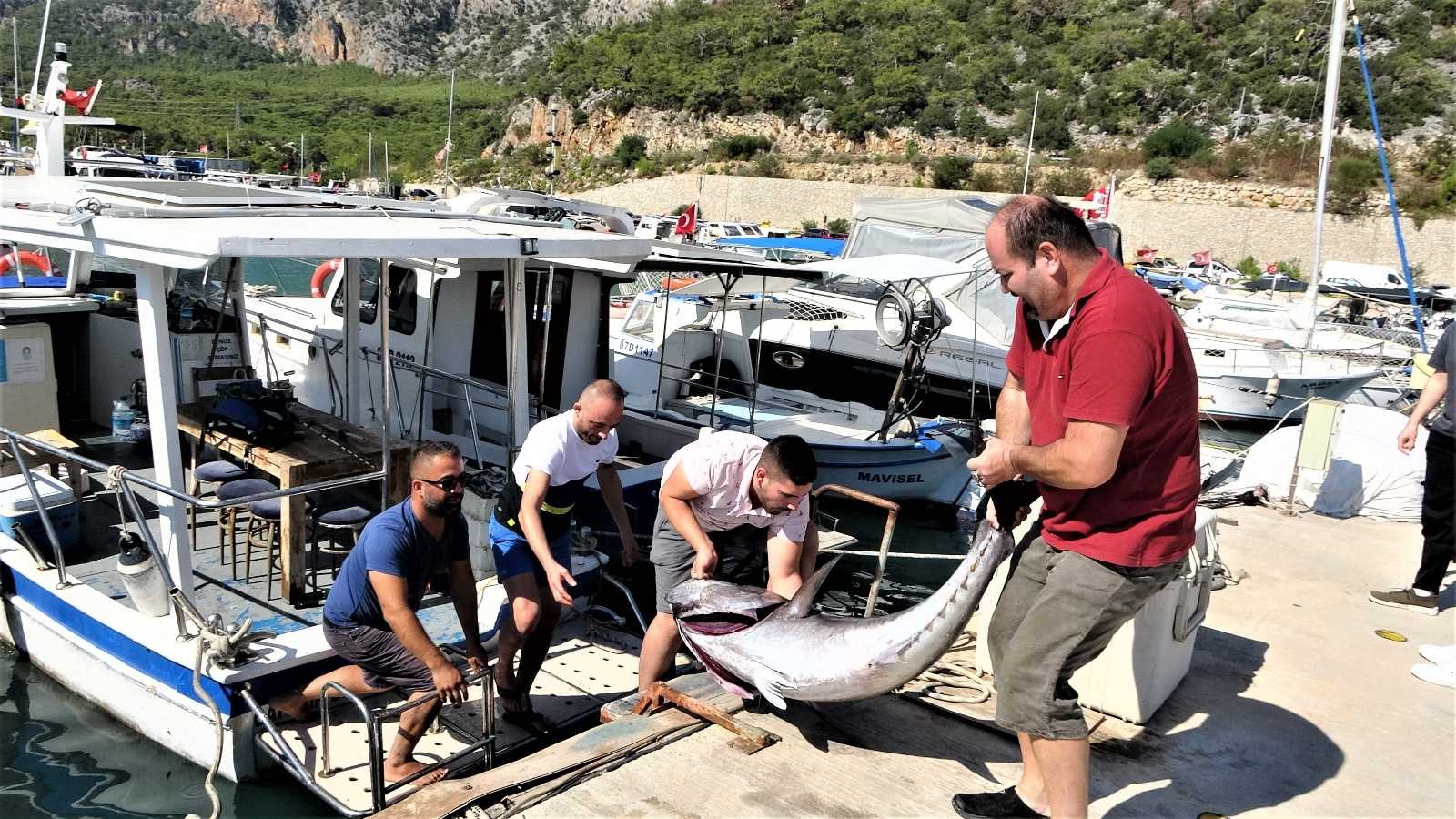 Antalyalı balıkçıların dev orkinos ile 4 saat süren mücadelesi #antalya