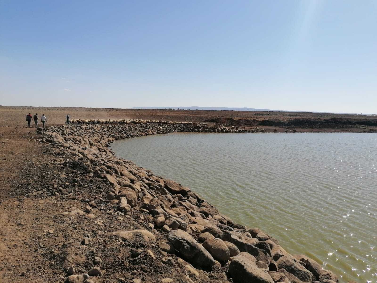 Ergani’de 5 hayvan içme suyu göleti onarıldı #diyarbakir