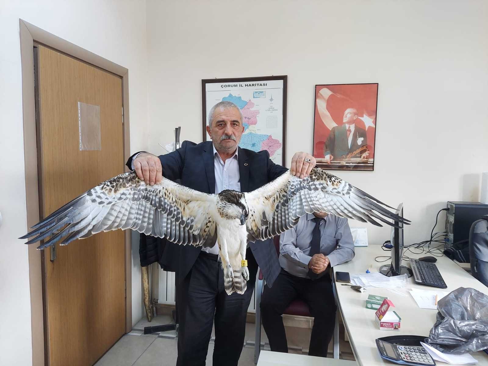 4 bin kilometreden geldi elektrik akımına kapıldı hayatını kaybetti #corum 4 bin kilometreden geldi elektrik akımına kapıldı hayatını kaybetti #corum