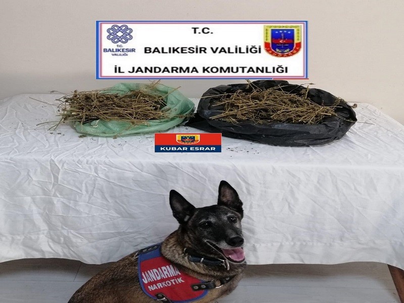 Jandarma 23 kilo esrar ele geçirdi #balikesir