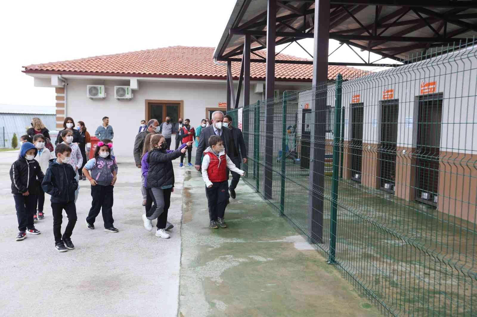 Öğrenciler sokak hayvanlarını ziyaret etti #kocaeli
