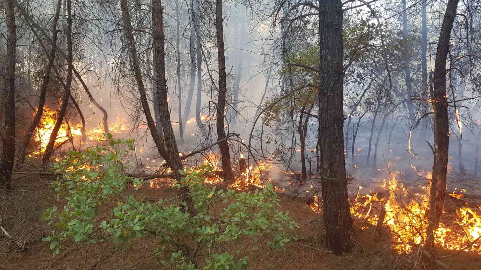 Kütahya’da orman yangını #kutahya
