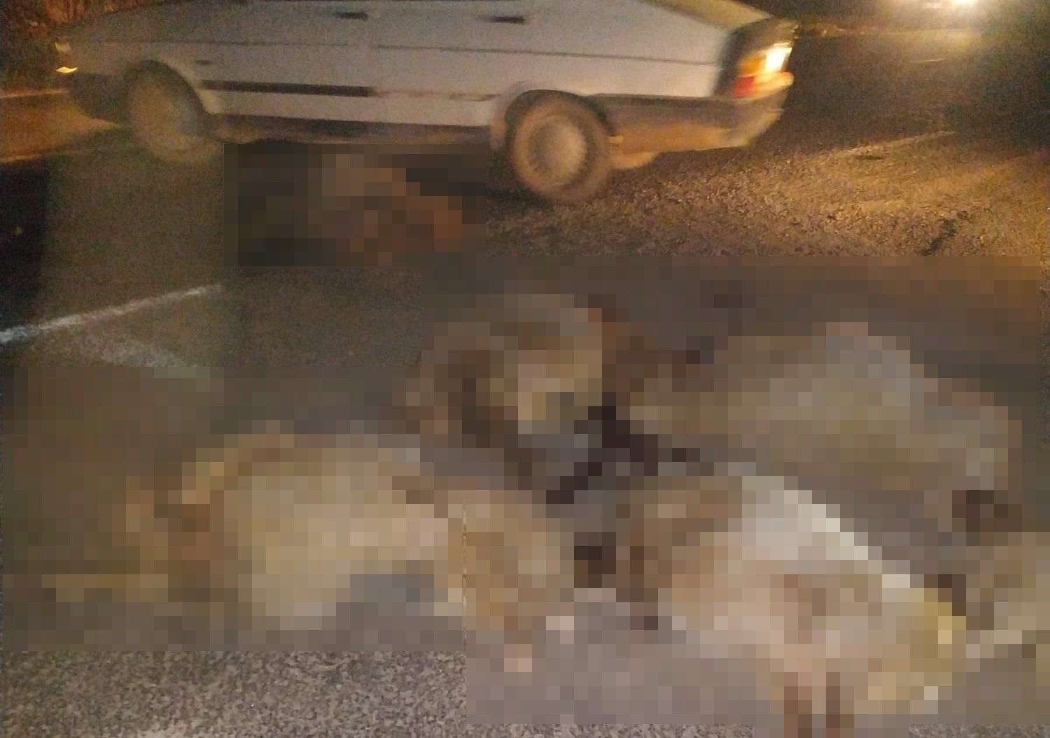 Şanlıurfa’da hafif ticari aracın çarptığı 10 koyun telef oldu #sanliurfa