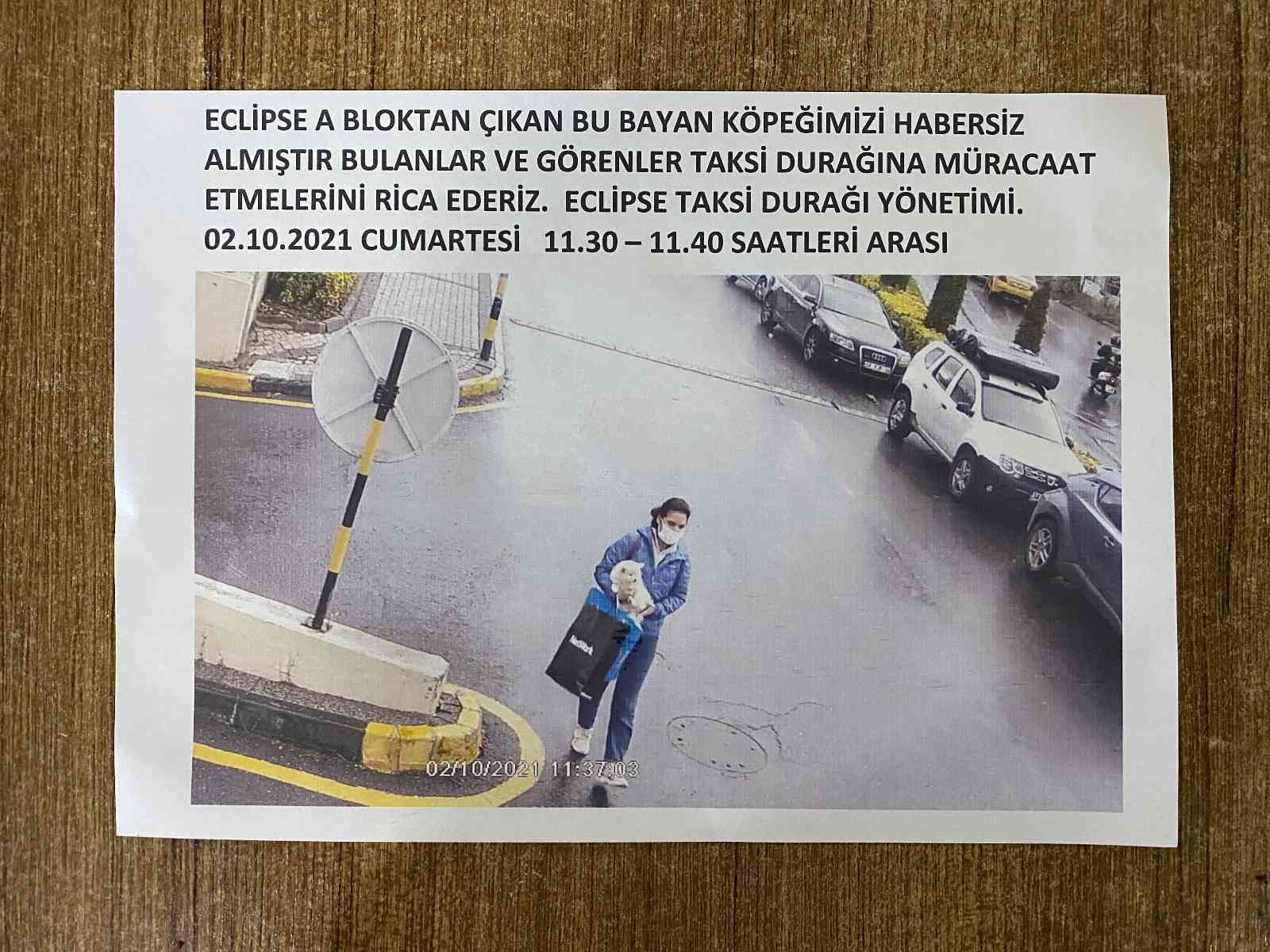 (ÖZEL) Sarıyer’de köpek hırsızlığı kamerada #istanbul