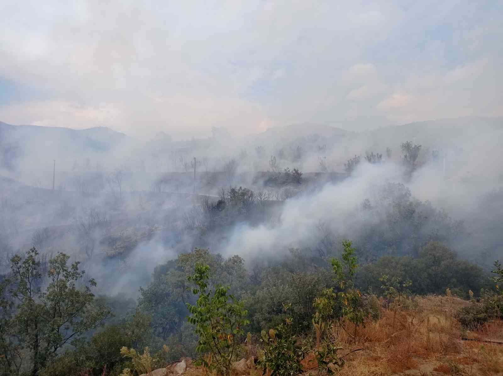İzmir’de ormanlık alanda yangın #izmir