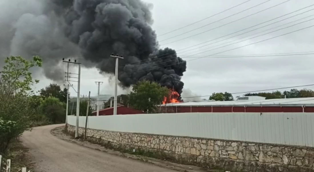 Kocaeli’de yağ fabrikasında yangın #kocaeli