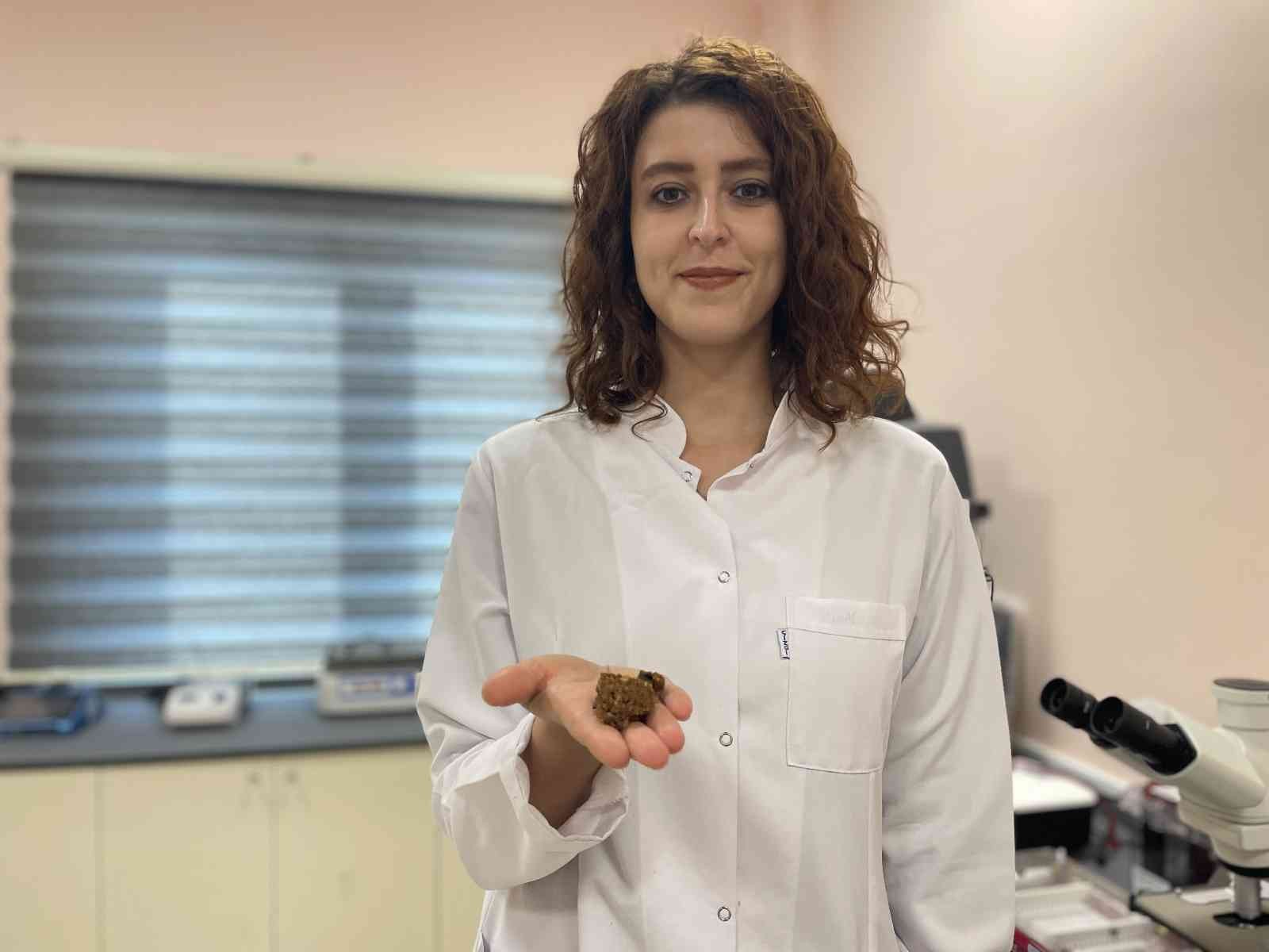 Yüzyıllardır şifa veren propolis akademik ellerde zenginleşiyor #duzce