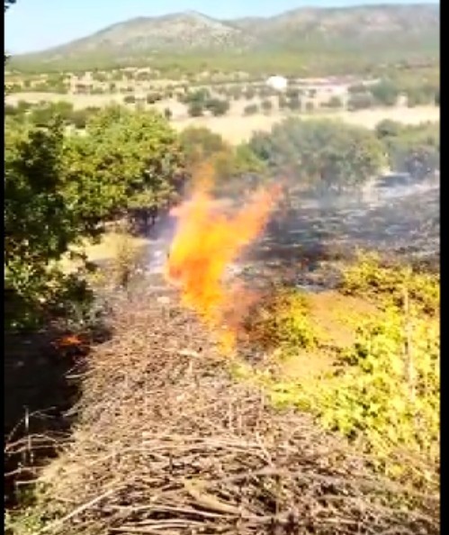 Kulp’ta, bağ alanında yangın çıktı #diyarbakir