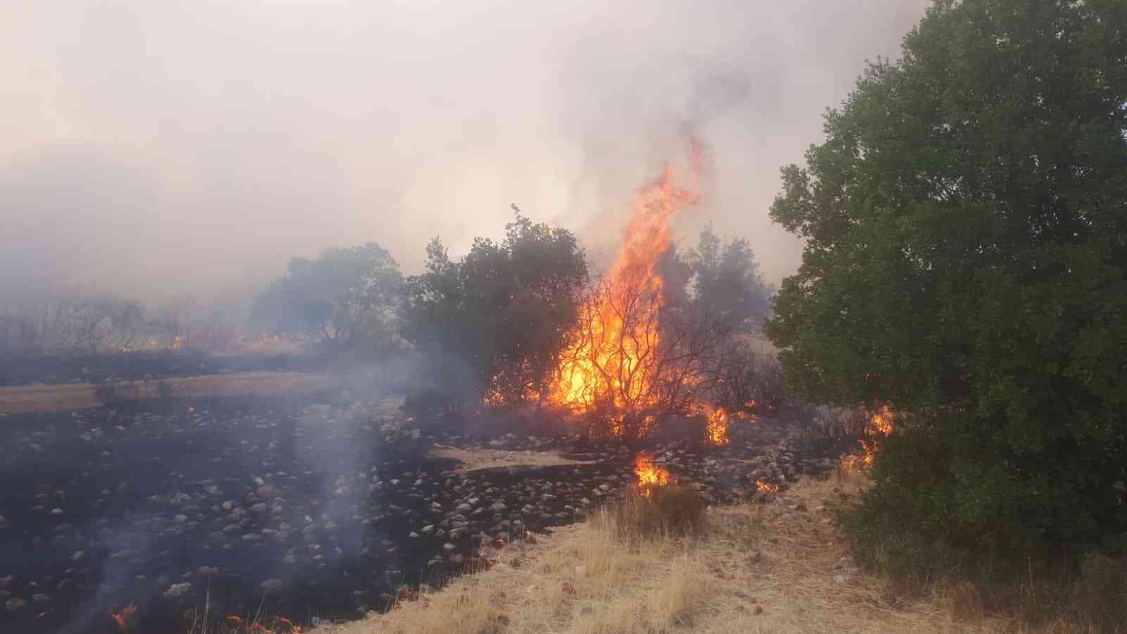 Gaziantep’te orman yangını #gaziantep