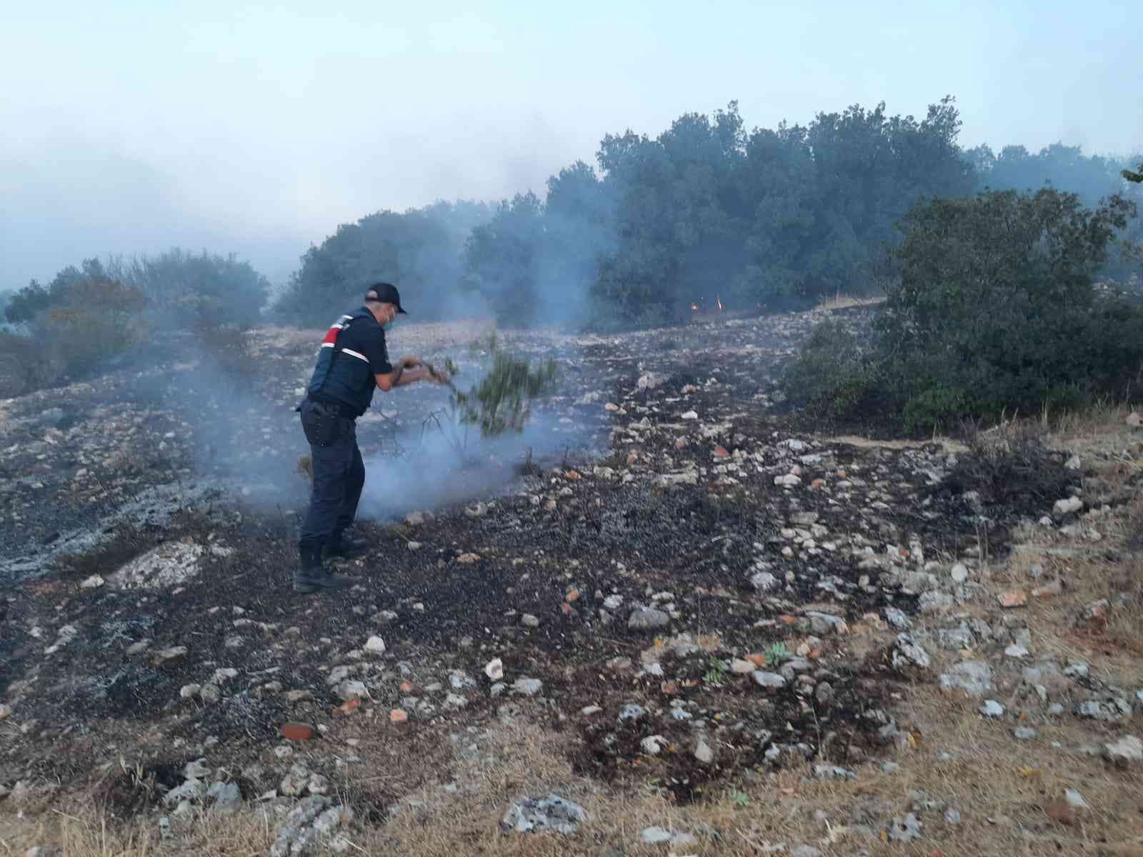 Korkutan orman yangını 5 saatte kontrol altına alındı #gaziantep