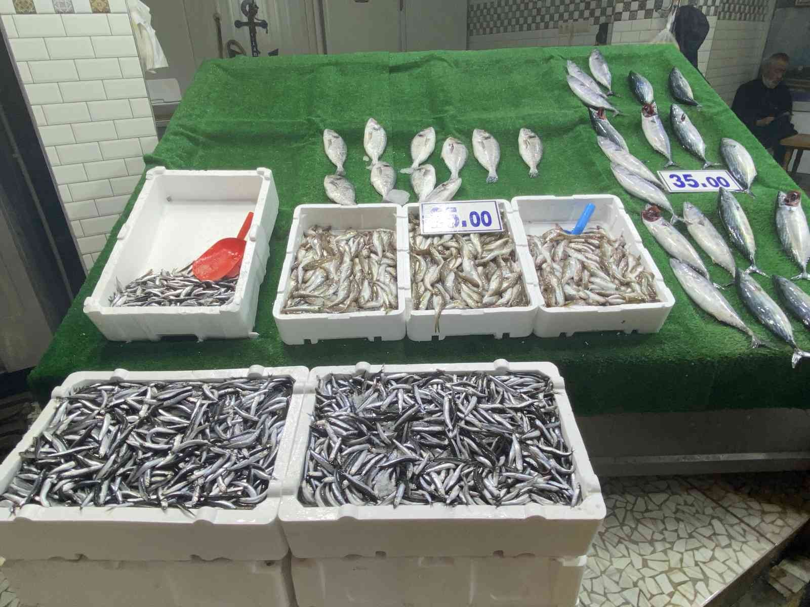 Hamsinin yerini İstavrit aldı #zonguldak