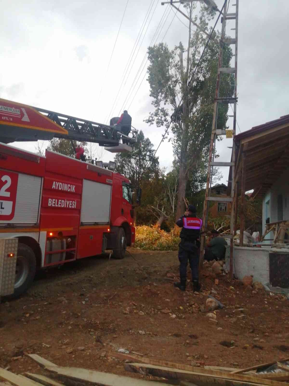 Yozgat’ta ağaç budarken elektrik akımına kapıldı, kurtarılamadı