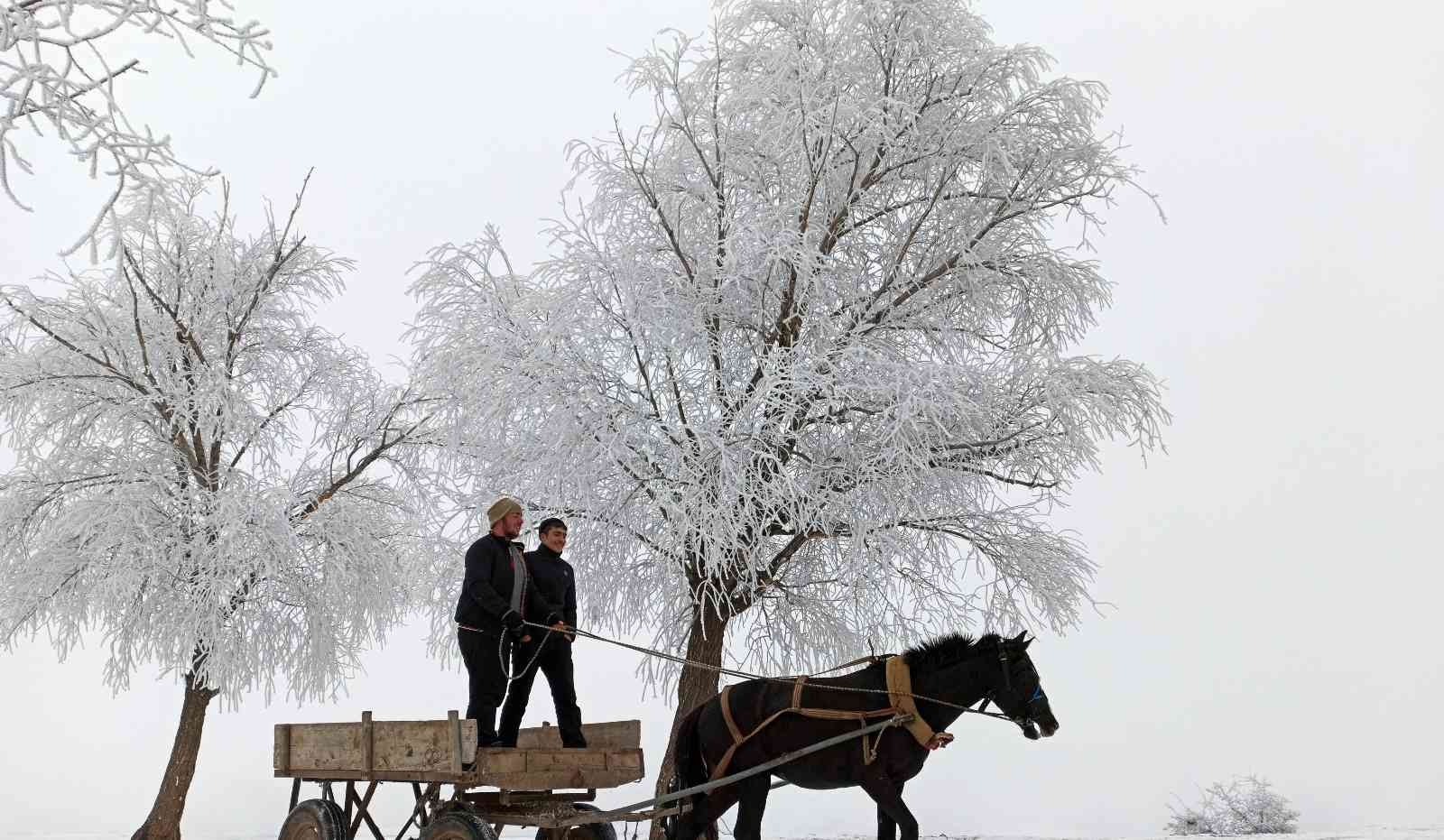 Doğu’da havalar soğuyor #erzincan