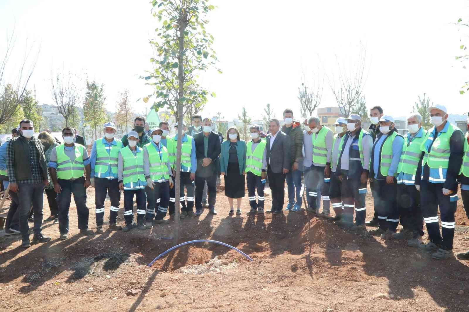 Gaziantep’te 27 milyon fidan hedefi için ağaç dikim başladı #gaziantep