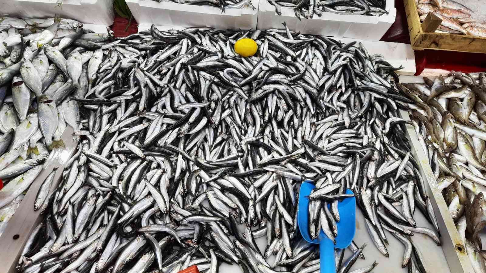 Balık hali esnafı, Türkiye’nin en iyi balığı Kdz. Ereğli’den çıkar #zonguldak
