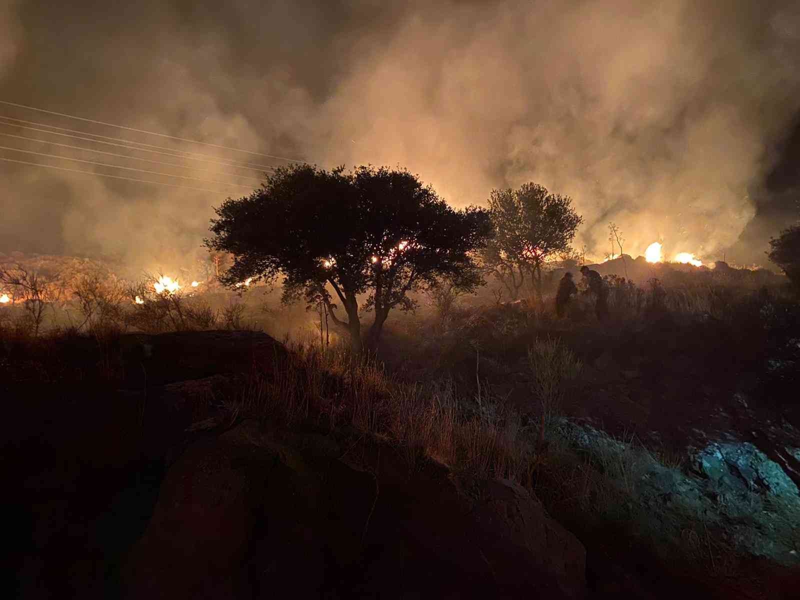 Bodrum’daki yangında 10 dönüm makilik alan zarar gördü #mugla