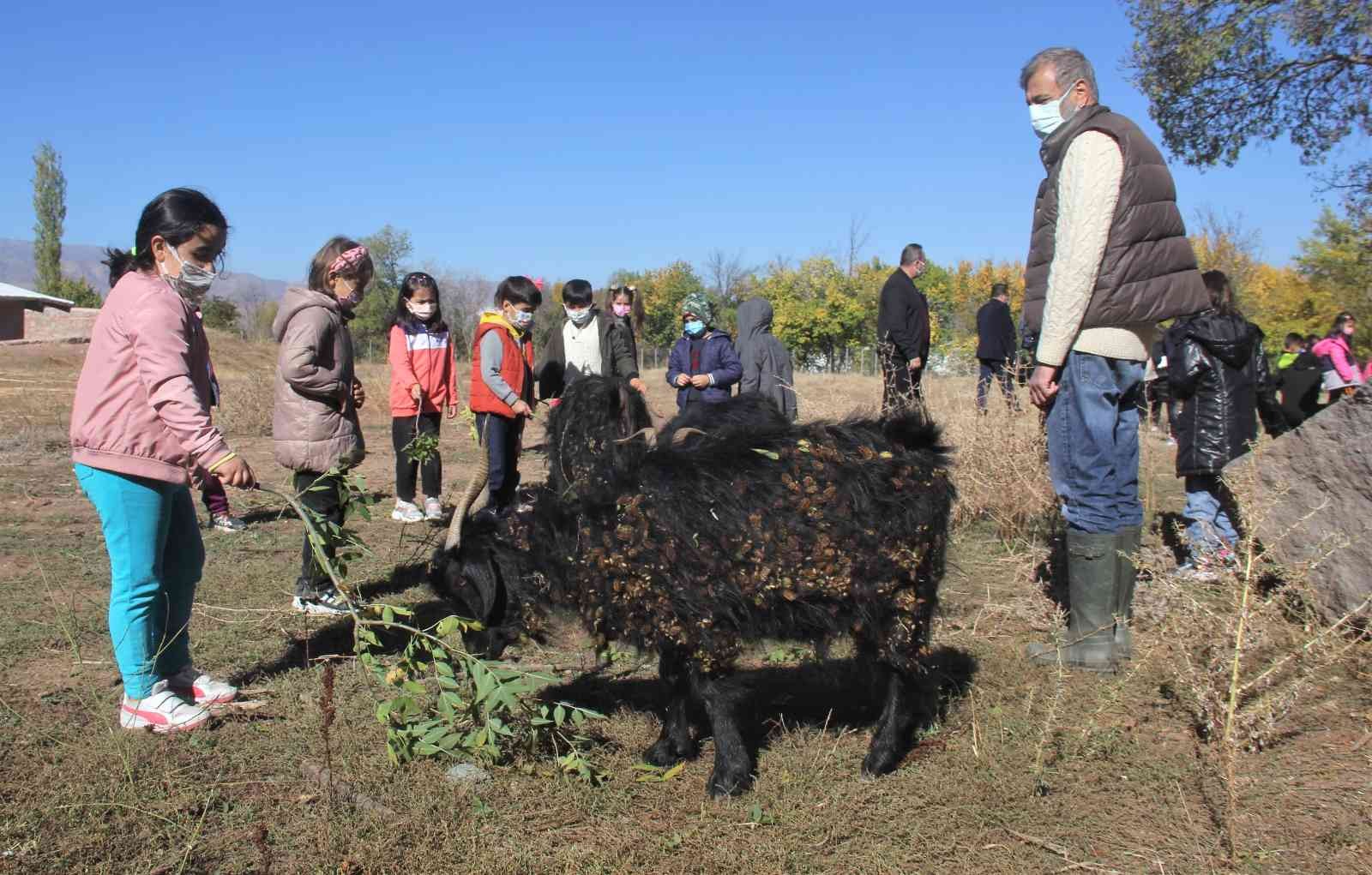 Erzincan’da minik öğrenciler çiftlikteki doğal yaşamı yerinde gördü #erzincan