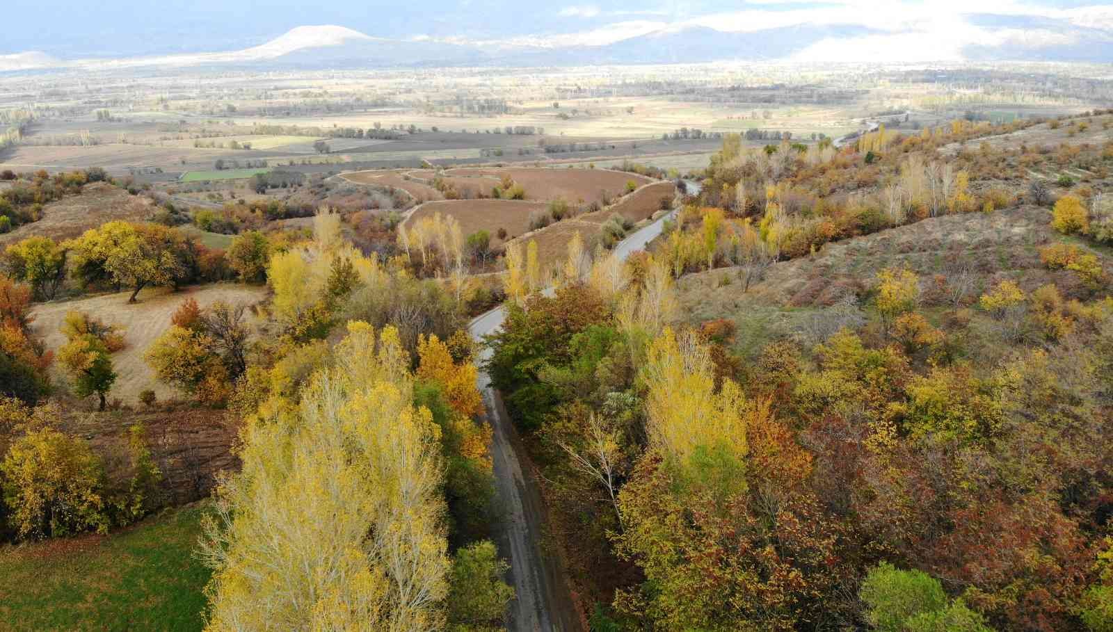 Sonbahardan kışa geçişte renk cümbüşü oluşturan ağaçlar farklı güzelliğe büründü #erzincan