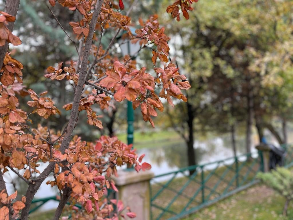 Eskişehir’in parkları sonbahar renklerine büründü #eskisehir