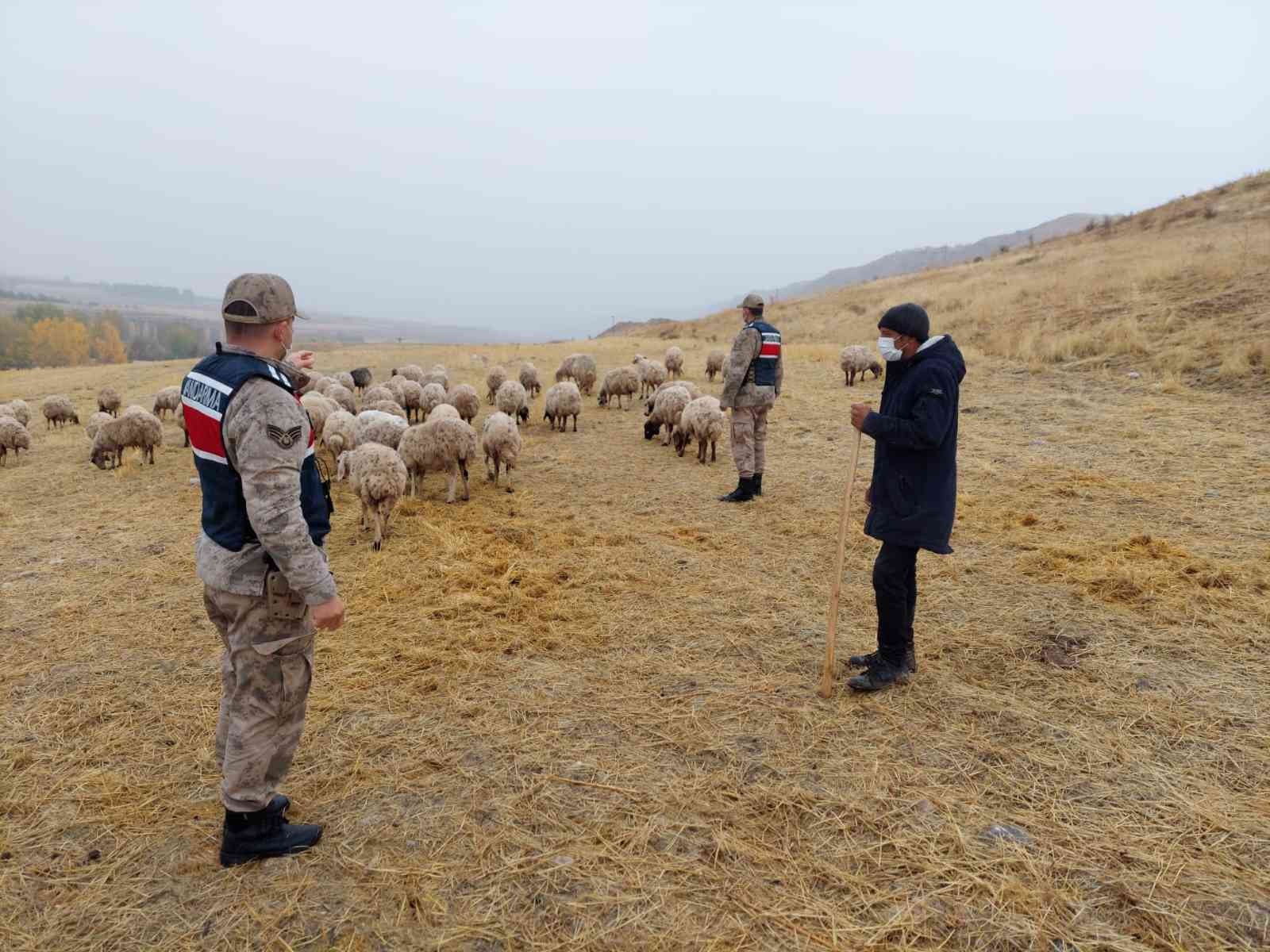 Kayıp koyunları jandarma drone ile buldu #malatya