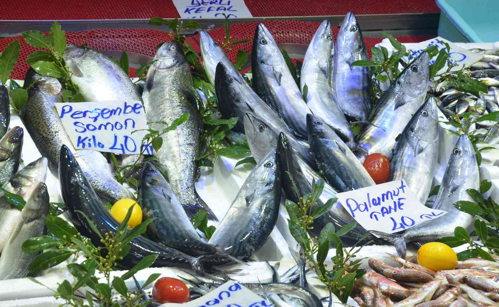 Ordu’da palamut 40 lira #ordu