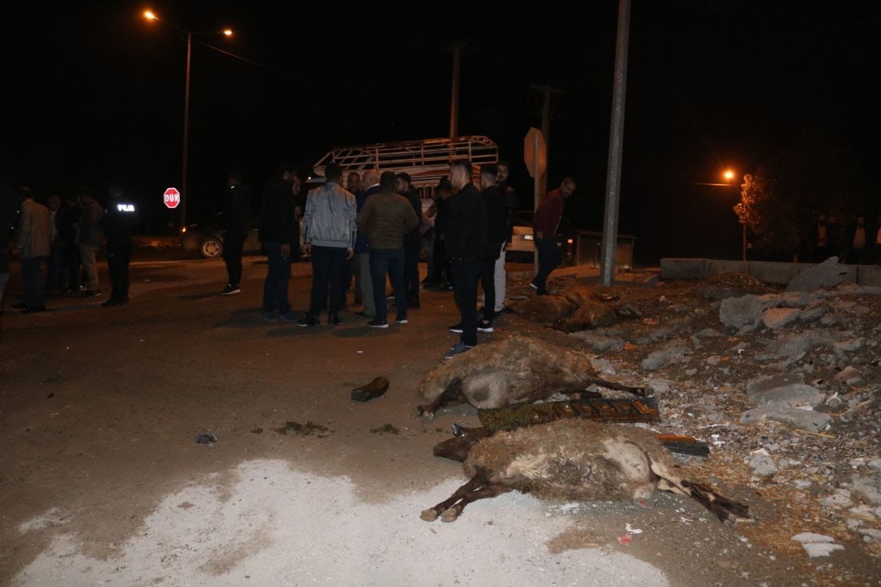 Diyarbakır’da otomobil sürüye çarptı: 4 koyun telef oldu #diyarbakir