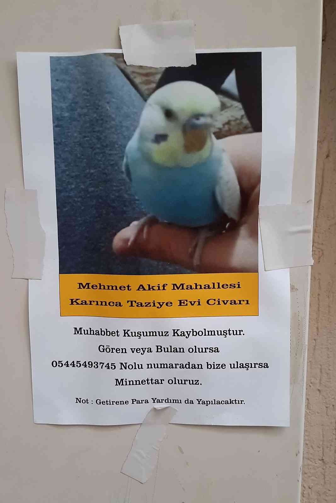 kardashian kardeşler eskihisar feribot