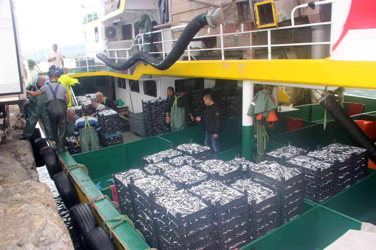 Balıkçılar denizden tonlarca hamsi ile döndü, fiyatı 10 TL’ye kadar düştü #kastamonu