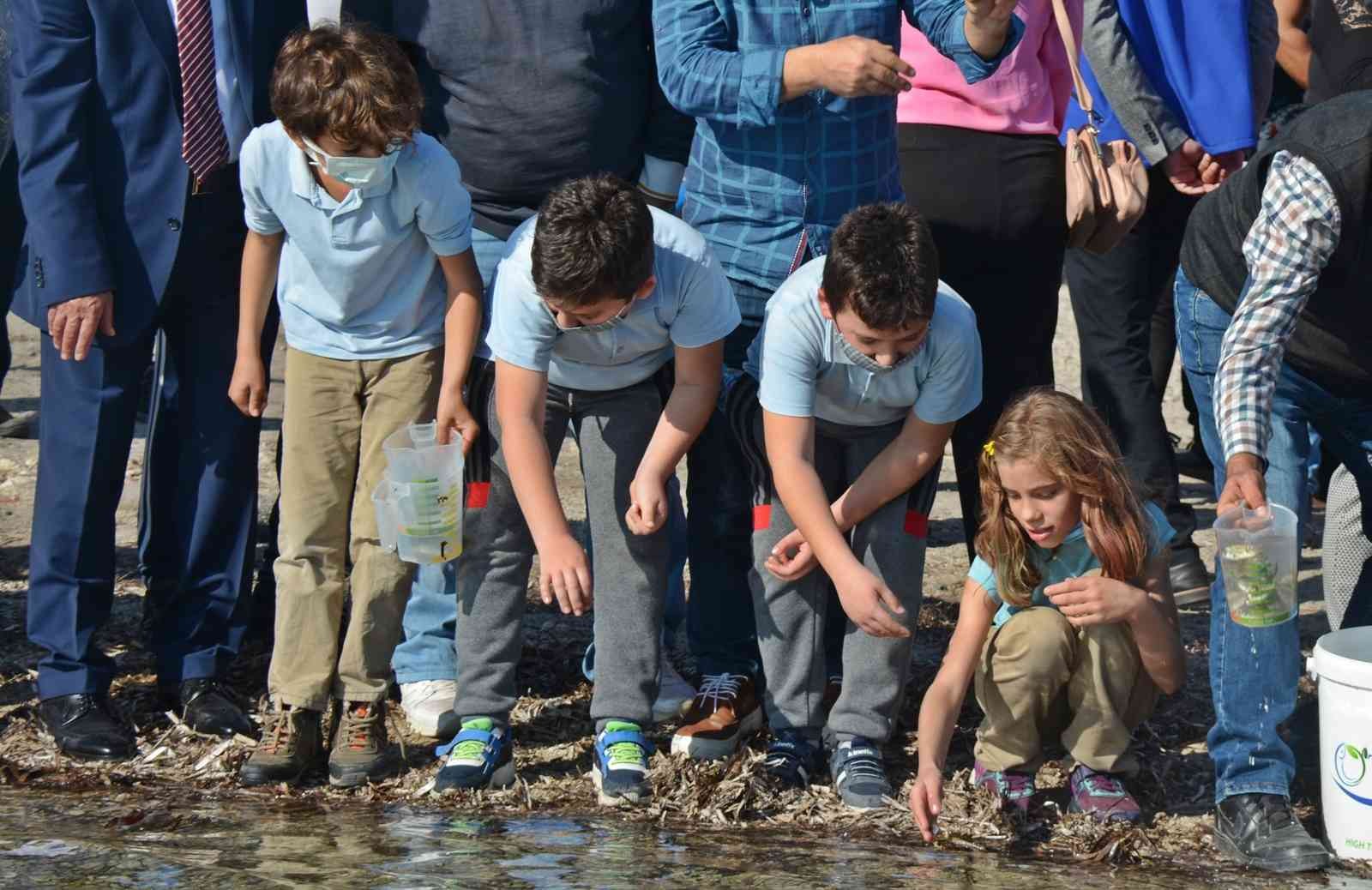 Dikili’de denize 15 bin adet yavru balık bırakıldı #izmir