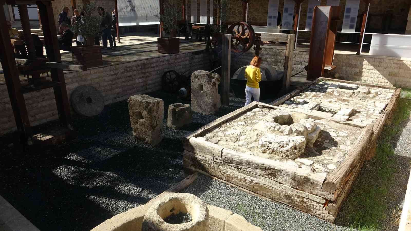 Zeytin ve Zeytinyağı Müzesi’ne ziyaretçi akını