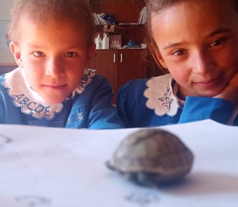 Yavru kaplumbağaya öğretmen ve öğrenciler sahip çıktı #kahramanmaras