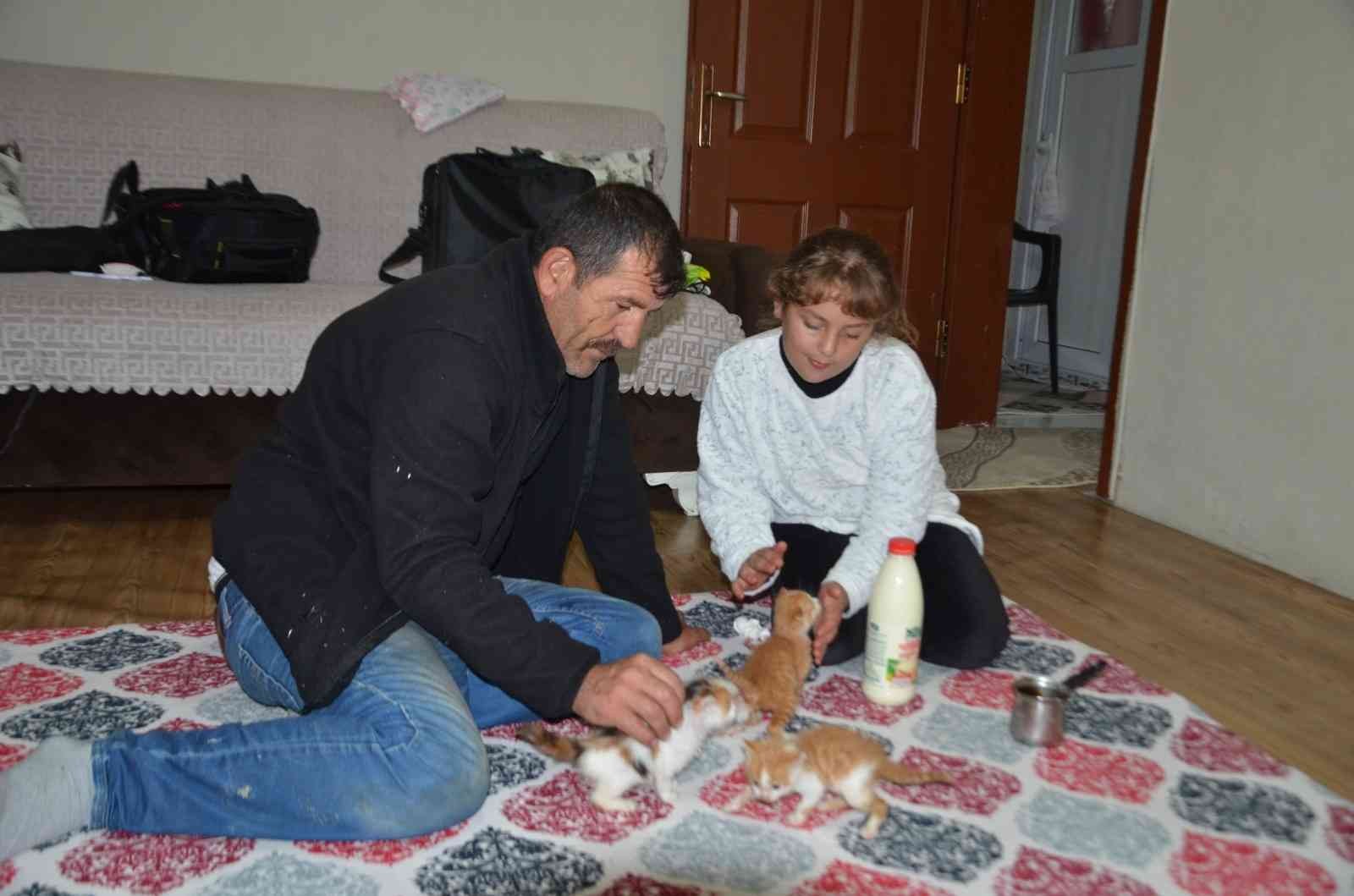 Minik Umrenur, annelerini kaybeden kedi yavrularına sahip çıktı #mus
