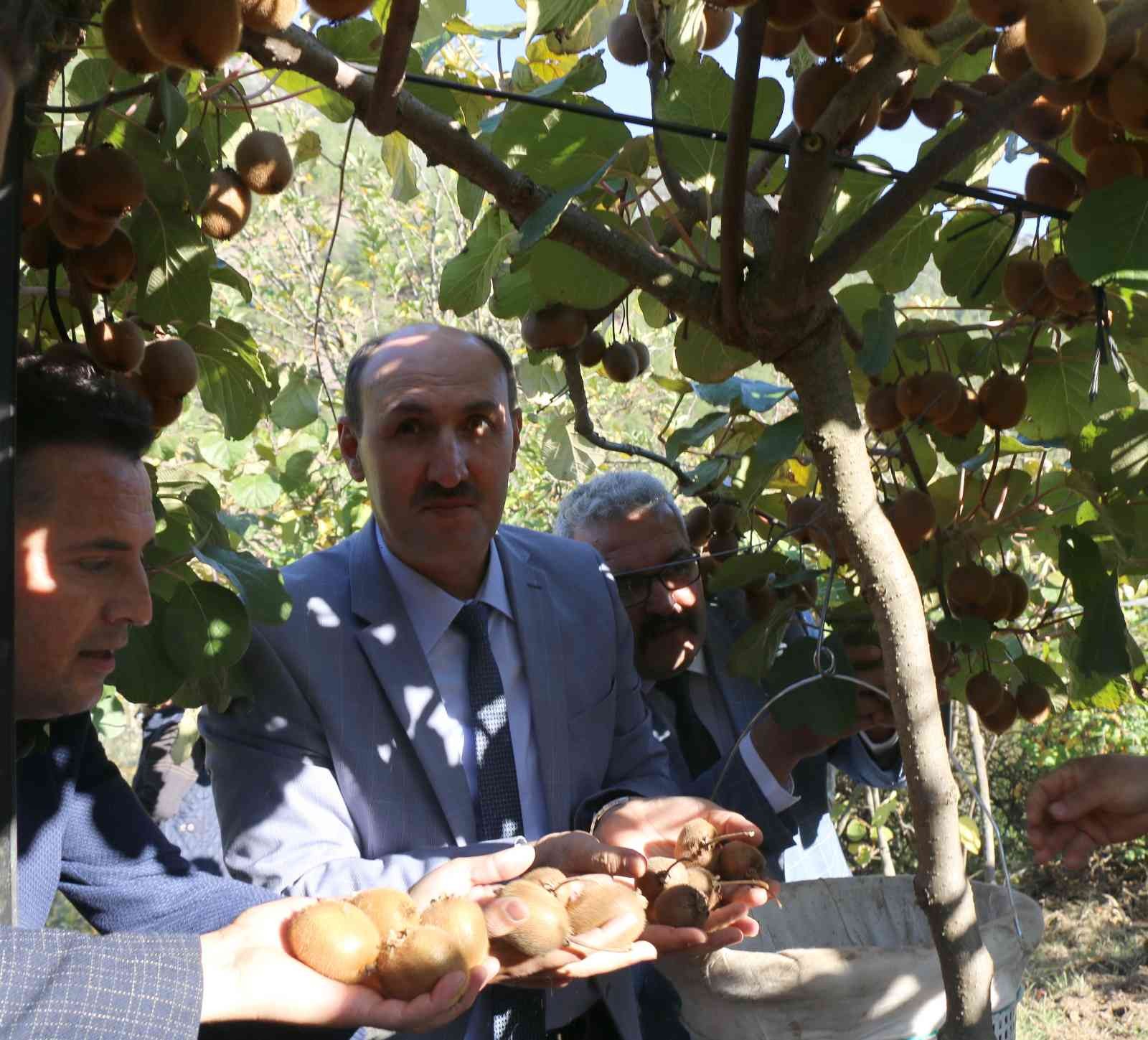 Adana’nın kivi köyünde hasat başladı #adana