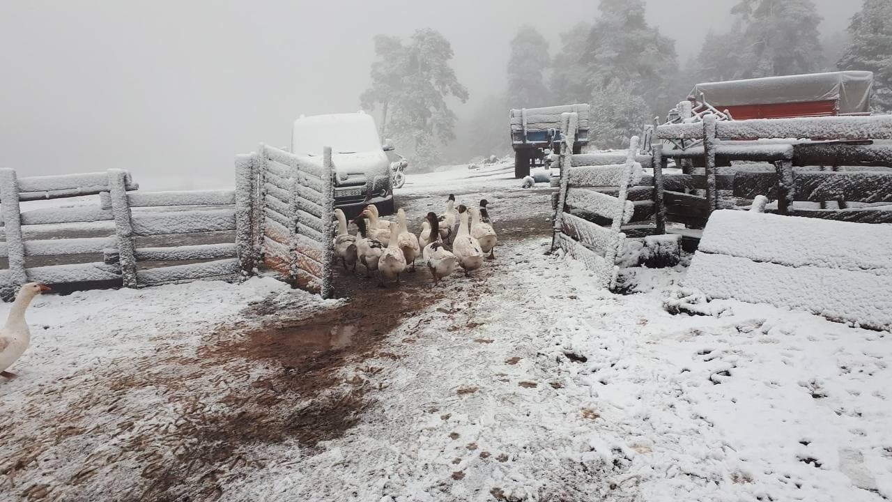 Karabük’te yüksek kesimlere sezonun ilk karı düştü #karabuk
