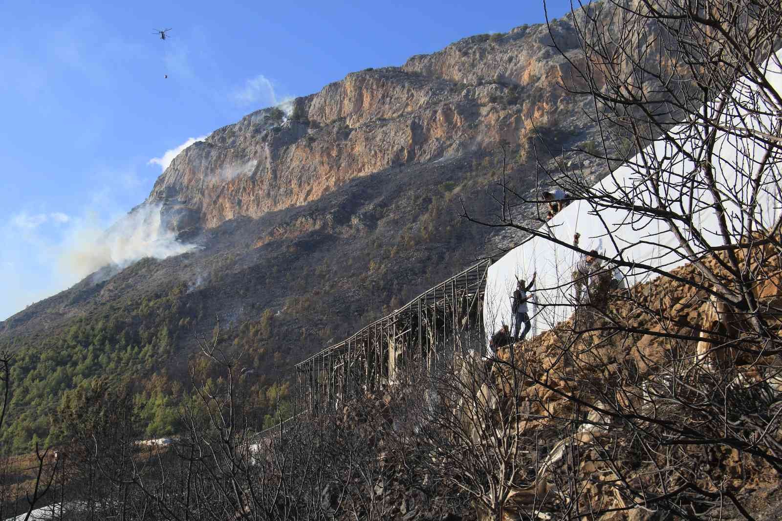 Mersin’deki orman yangınında 75 hektar ormanlık alan ile 25 dönüm sera yandı
