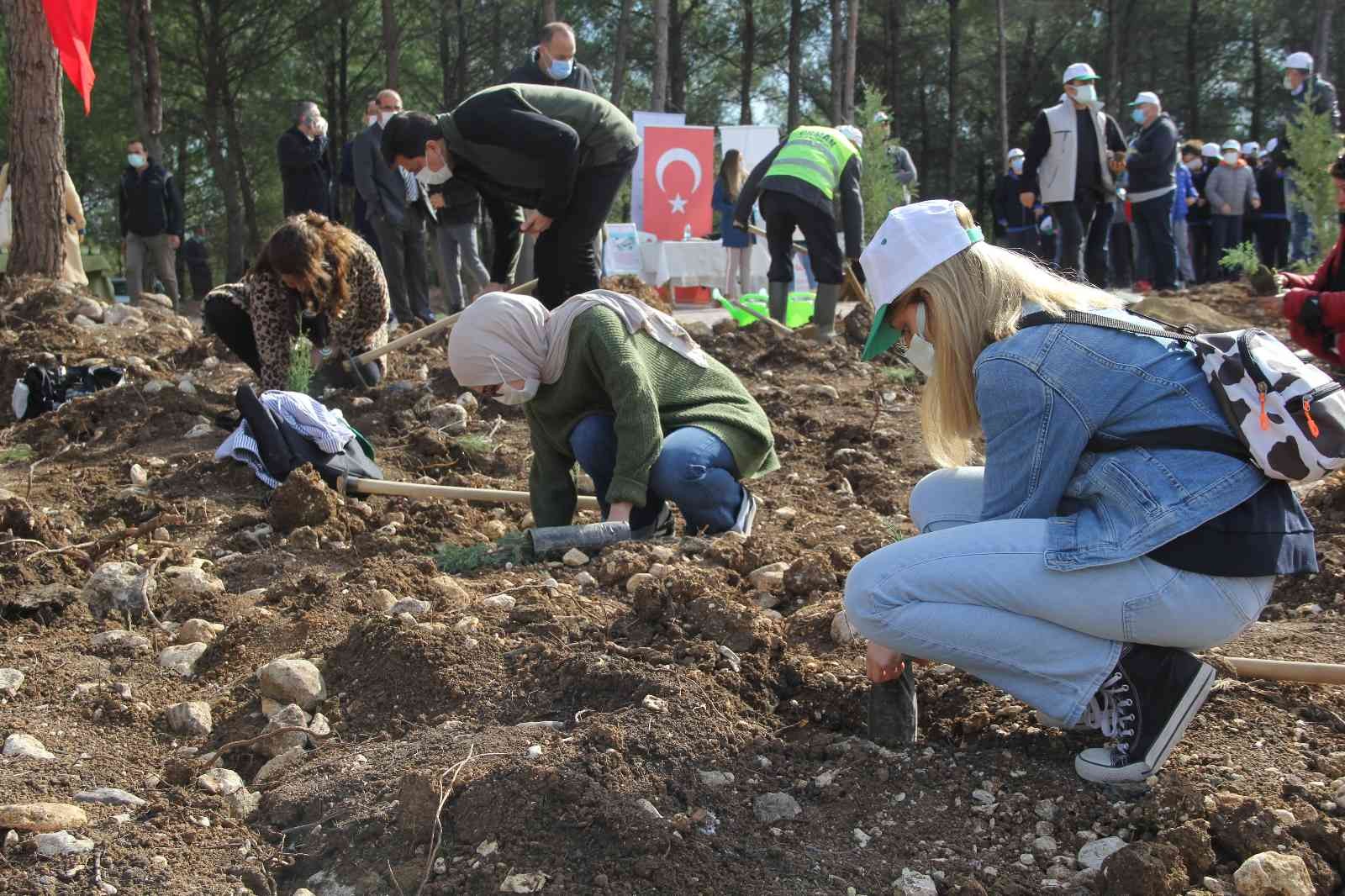 İzmir’de 65 bin fidan toprakla buluştu #izmir