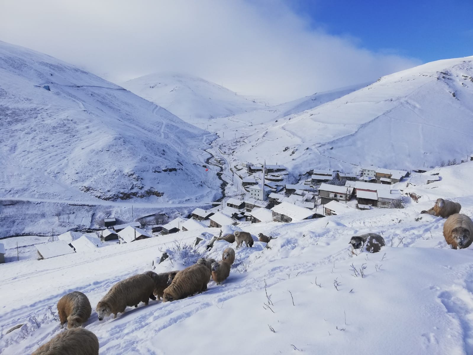 Bayburt - Trabzon sınırındaki köyler kar beyaz #bayburt