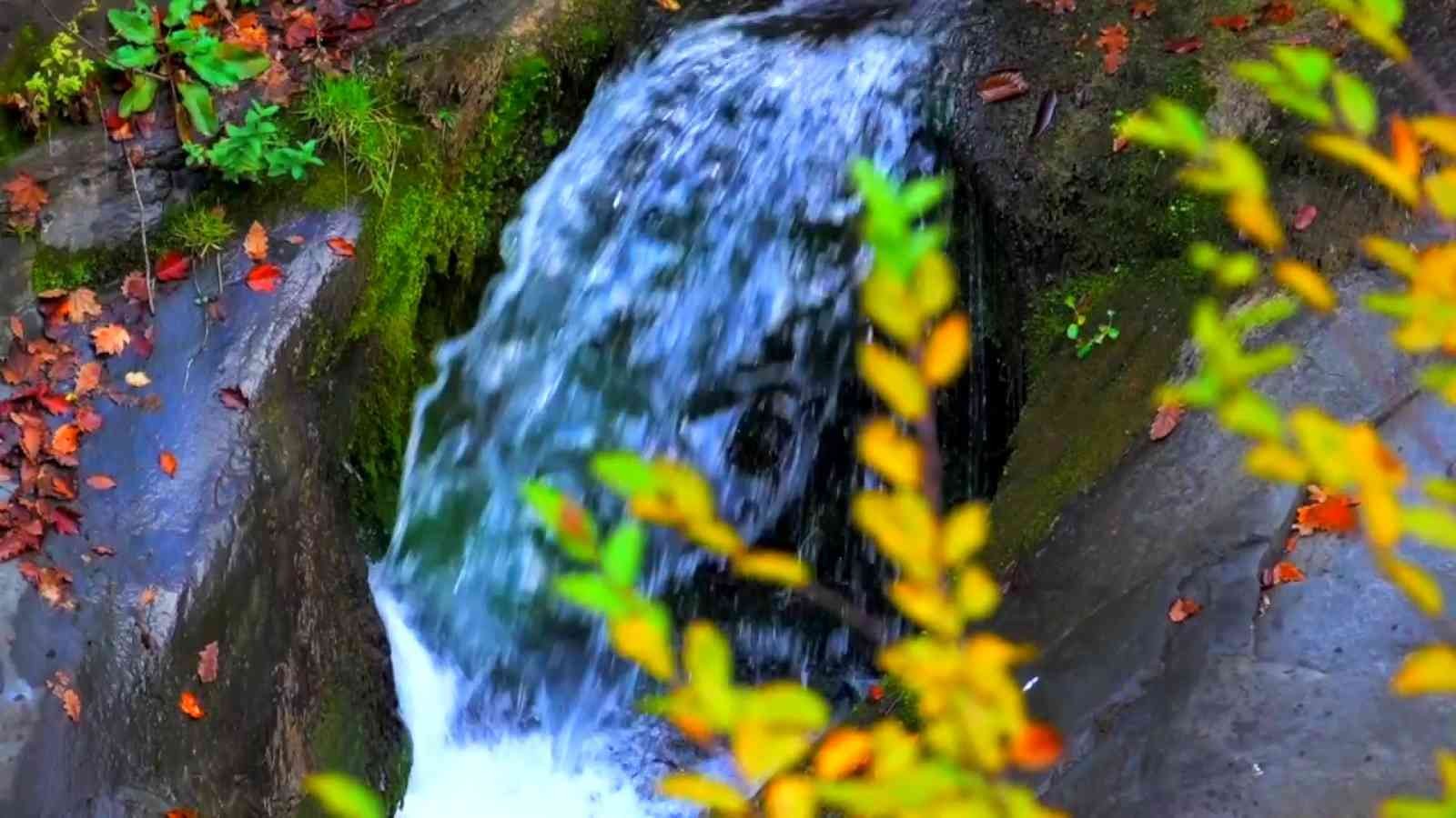 Yılançatı Kanyonu’nda sonbahar güzelliği #duzce