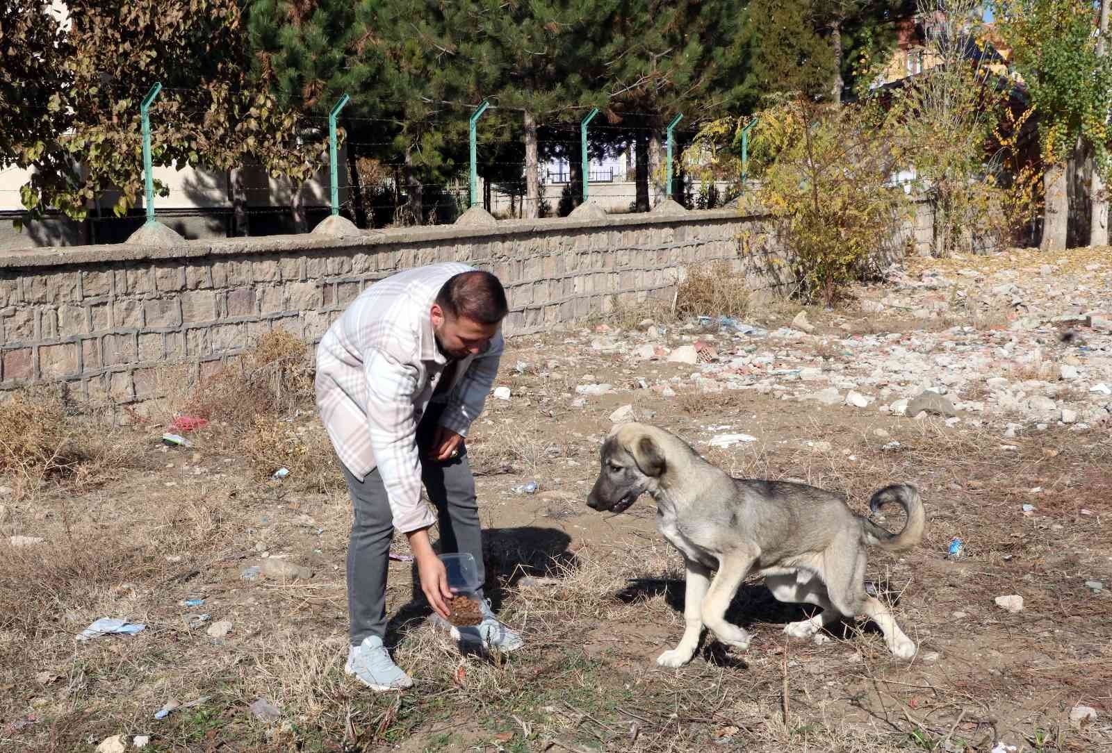 Hedefi ilçede aç hayvan bırakmamak #yozgat