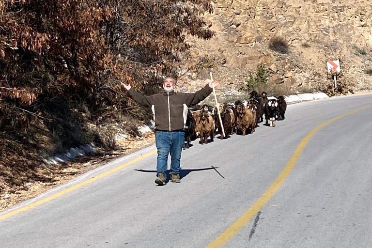 Jandarma kaybolan keçileri dronla buldu #gumushane