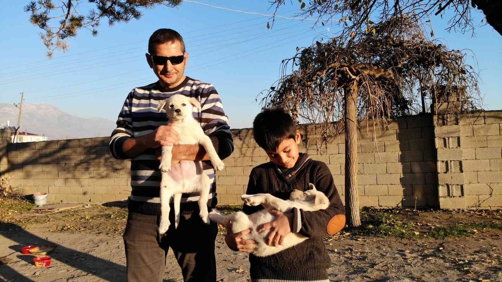Ölmek üzereyken bir çocuk tarafından bulunan iki yavru köpek, Özdemir ailesinin neşe kaynağı oldu #erzincan
