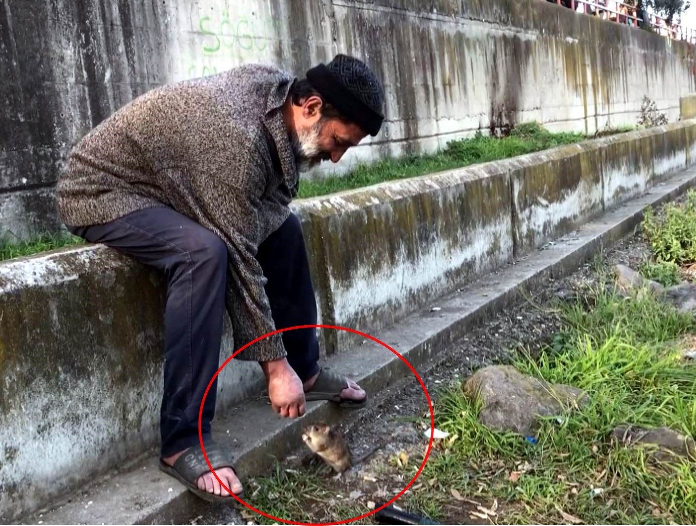 Kimsesiz adam ile farenin dostluğu: Ekmeğini fareyle paylaşıyor #samsun