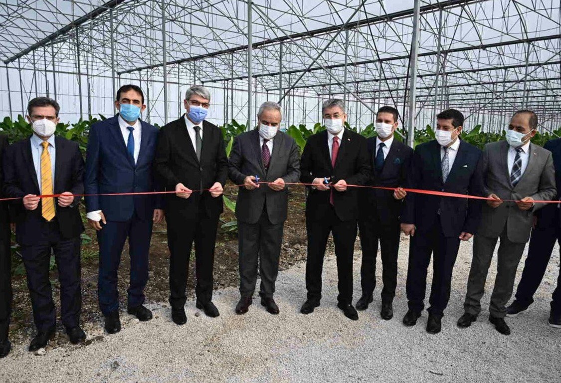 Bakan Yardımcısı Tunç, OSB’de kurulan muz serasının açılışını yaptı #osmaniye