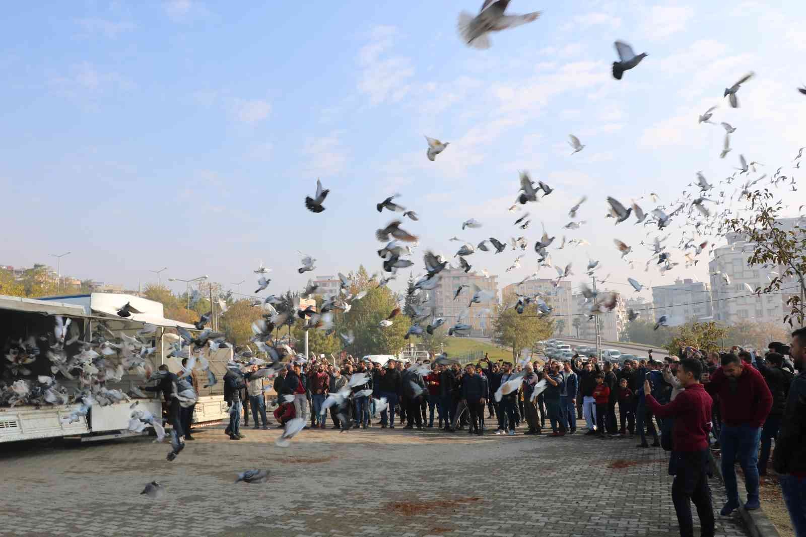 Kahramanmaraş’ta 6 bin güvercin gökyüzüne salındı #kahramanmaras