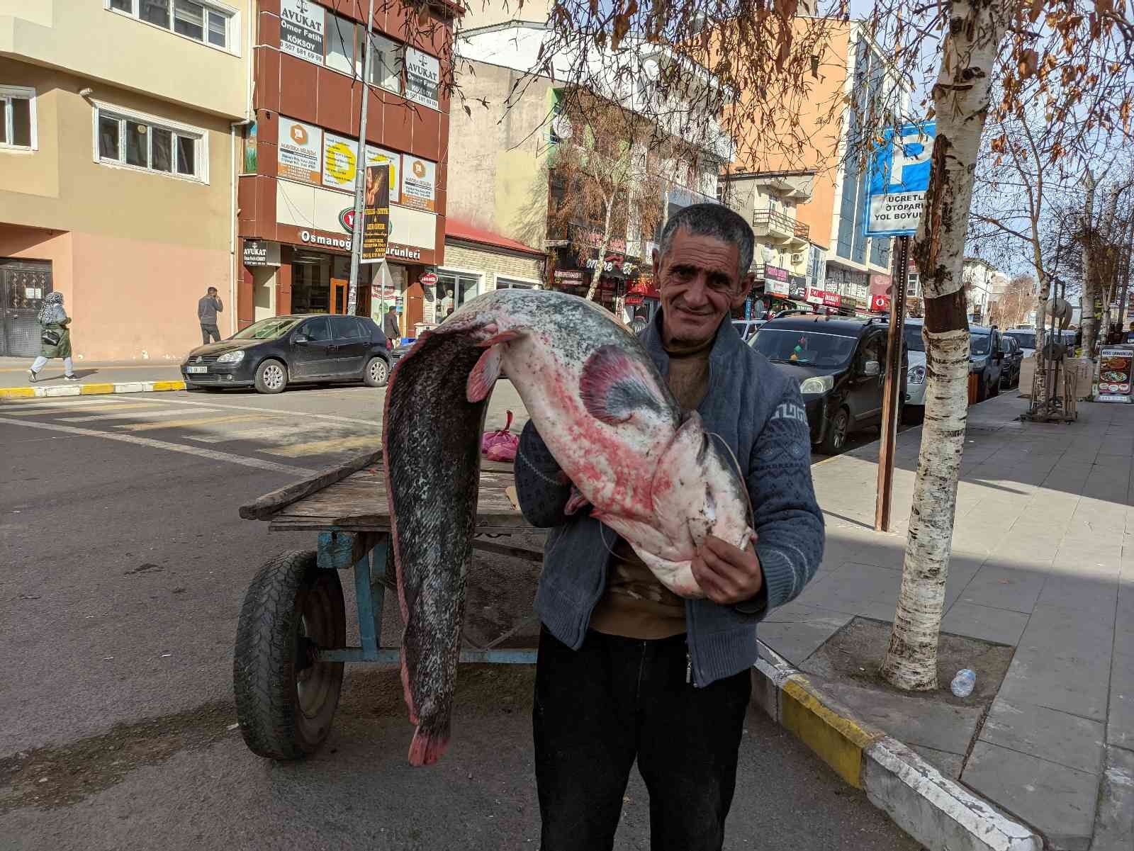 Kura nehrinde boyu kadar yayın balığı tuttu #ardahan